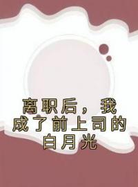 《离职后，我成了前上司的白月光》白芨江亦谦小说全本在线阅读