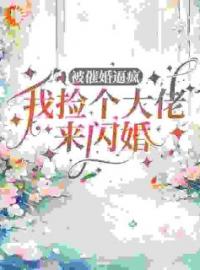 被催婚逼疯，我捡个大佬来闪婚(颜洛曼傅斯年)全文完结在线阅读完整版